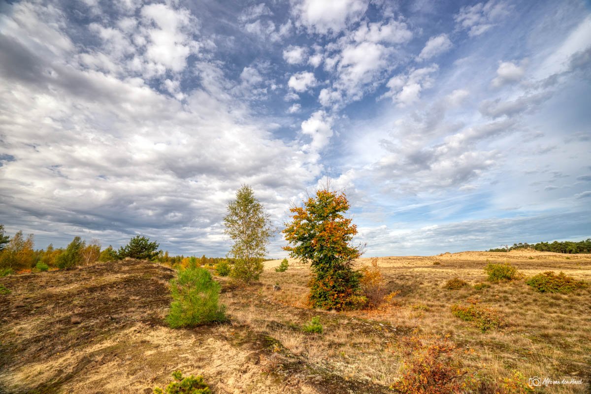 HDR