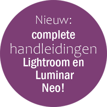 button handleiding luminar